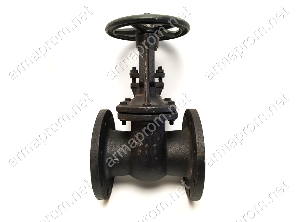 Засувка чавунна 30ч6бр Ду100